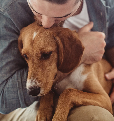 Man hugging rescued dog