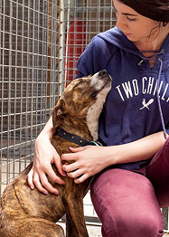 Shelter volunteer with dog