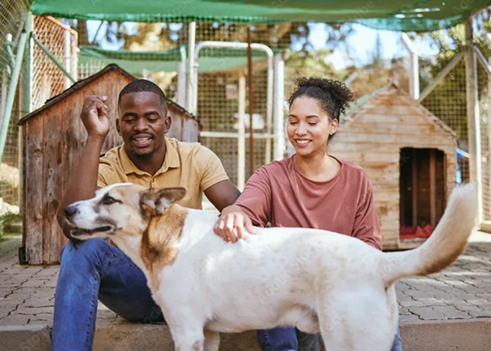 Volunteers spending time with rescued dog