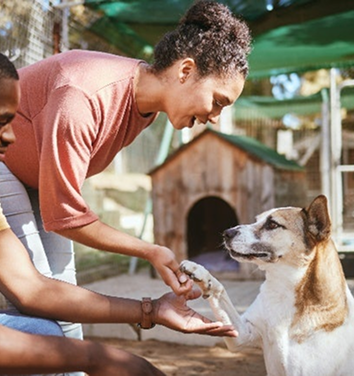 Volunteer holding dog paw