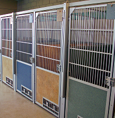 Animal welfare shelter kennels