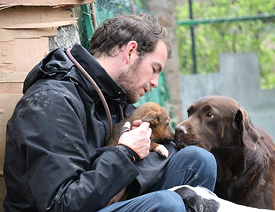Volunteer playing with dogs outdoors